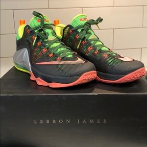 LEBRON XII LOW Size 13
